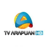 Tv Arapuã